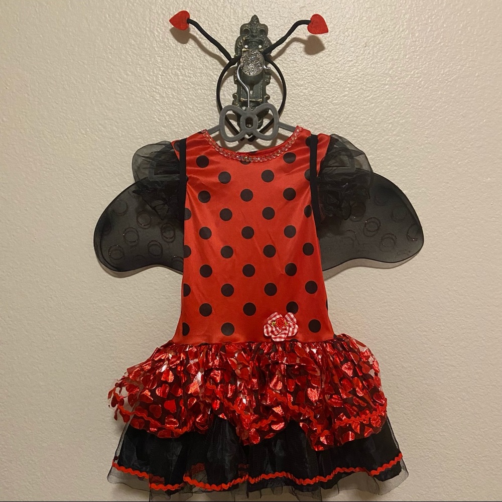 🐞 Ladybug Costume, Size 3-4T